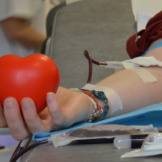 Dalle 8 alle 12 in Piazza Palazzo di Città sarà possibile donare il sangue