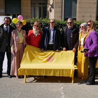 &quot;Sediamoci sul giallo&quot;: inaugurata una “ENDOPANK” nel cortile delle Molinette