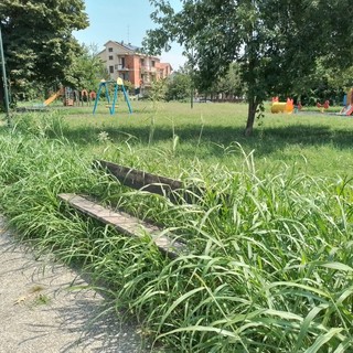 A Mirafiori l'erba dei giardini di via Plava è sempre più verde e alta