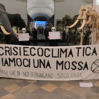 &quot;Diamoci una mossa, prima che di noi rimangano solo ossa”, blitz di Extinction al Museo di Scienze Naturali [FOTO]