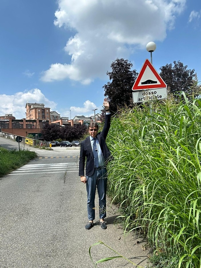 A Torino sfalci in ritardo per via della pioggia, erba alta che sembra una giungla