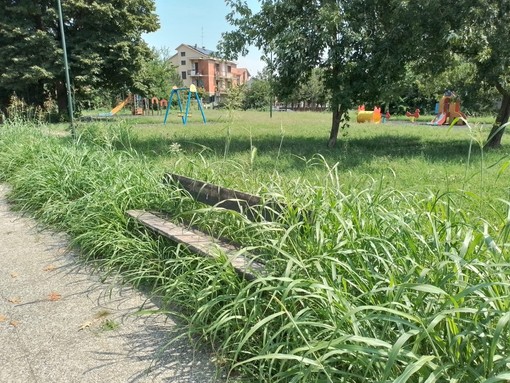 A Mirafiori l'erba dei giardini di via Plava è sempre più verde e alta