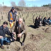 Piantumazione alberi