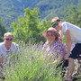 Marco Sollier e la sua famiglia nel campo di lavanda