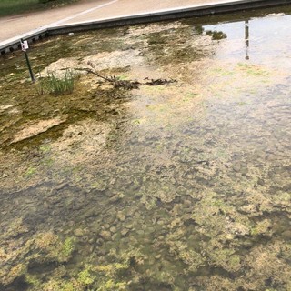 fontana con sporcizia e degrado