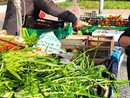 Dopo i bus, al Villaretto torna un banco di frutta e verdura