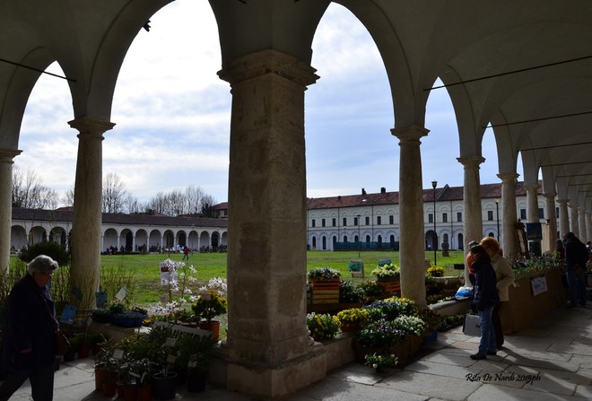 Alla Certosa Reale di Collegno, Follia in Fiore apre la primavera 2025