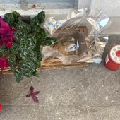 Vandali e incivili di nuovo protagonisti di furti al cimitero di Nichelino