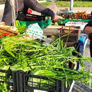 Dopo i bus, al Villaretto torna un banco di frutta e verdura