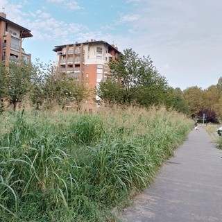 L'area verde di via Geymonat assomiglia ad una giungla