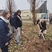 Nichelino onora il Giorno della Memoria con dieci nuovi alberi nel Giardino dei Giusti: uno intitolato a Gino Strada