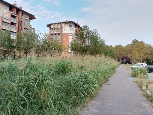 L'area verde di via Geymonat assomiglia ad una giungla