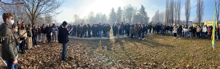 Giorno della Memoria, a Nichelino saranno piantati dieci nuovi alberi nel giardino dei Giusti