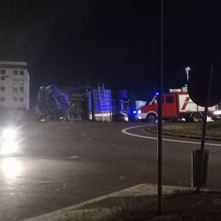 Camion carico di maiali si ribalta alla rotonda tra Carignano e Carmagnola: muoiono 28 animali su 60