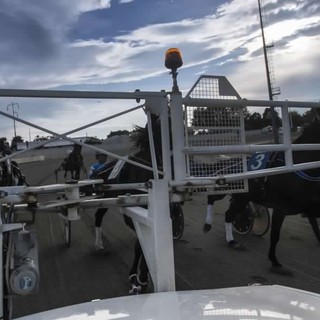 L'ippodromo di Vinovo si prepara ad un grande mercoledì di trotto