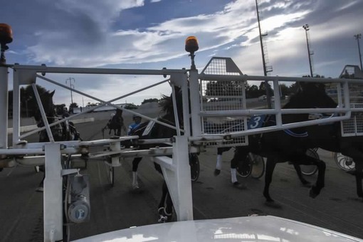 L'ippodromo di Vinovo si prepara ad un grande mercoledì di trotto