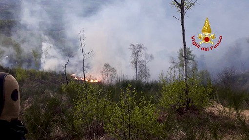 Rischio incendi boschivi, dalla Regione quasi 5 milioni per la prevenzione