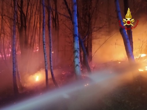 vigili del fuoco in azione