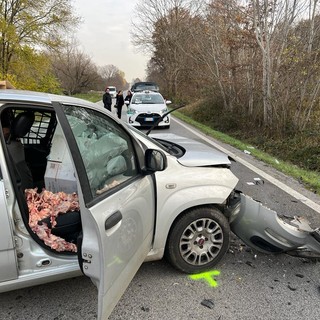 incidente stupinigi