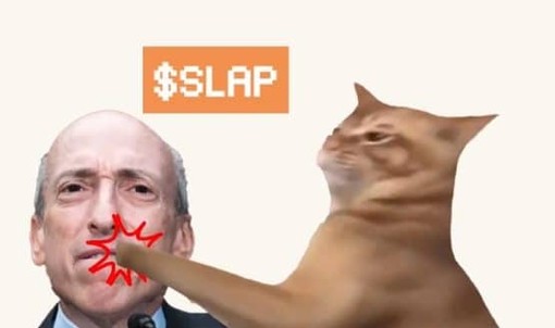 Guida rapida per acquistare CatSlap (SLAP): la nuova meme coin di tendenza