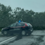 albero caduto con auto carabinieri davanti