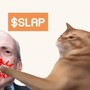 Guida rapida per acquistare CatSlap (SLAP): la nuova meme coin di tendenza