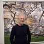 alle Galleria d'Italia gli scatti di Mitch Epstein con la mostra &quot;American Nature&quot;