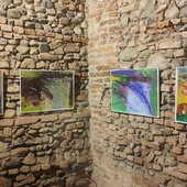 mostra palazzo barolo