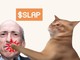 Guida rapida per acquistare CatSlap (SLAP): la nuova meme coin di tendenza