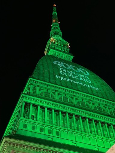 Mole verde per i trapianti di fegato