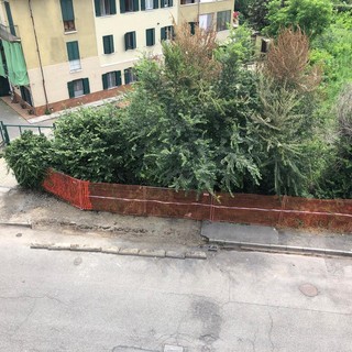 Quel muretto della discordia in via Viterbo, interessata dai lavori: “Così il marciapiede resta in condizioni inadeguate&quot;