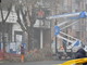 protesta contro il taglio degli alberi in corso Belgio