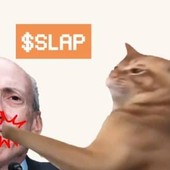 Guida rapida per acquistare CatSlap (SLAP): la nuova meme coin di tendenza