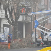 protesta contro il taglio degli alberi in corso Belgio