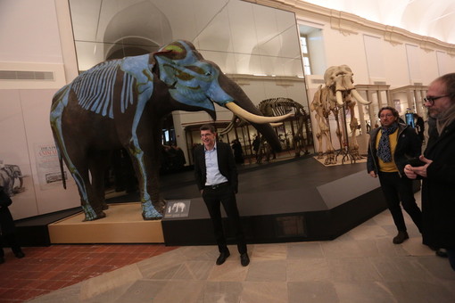 Riapre il Museo di Scienze Naturali: &quot;Torino lo ama&quot;. E fino al 2 febbraio si entra gratis [VIDEO]