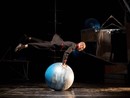 Il circo contemporaneo di Nice Festival approda al Palaexpo di Moncalieri