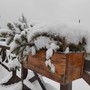 Nel Torinese inizio settimana con sole in pianura, foehn e maltempo in montagna