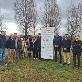 Torino pianta il suo futuro: nuovi alberi e un Bug Hotel ai Laghetti di Falchera