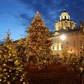 Pista di pattinaggio, mercatini e boschetto di abeti : ecco il Natale 2024 di Torino