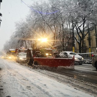 Caos bianco a Torino, Lo Russo: &quot;Piano neve prodotto da Appendino. Va rivisto&quot;