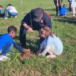 Al parco Colonnetti nato il bosco piantato dai bambini