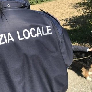 polizia locale nichelino e cani