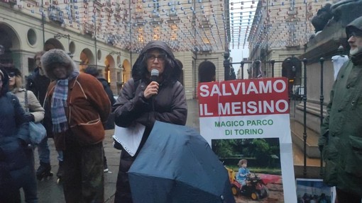 Cambiato (e ridotto) il progetto del parco del Meisino