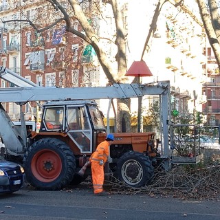 Largo Giulio Cesare tra spaccio e scarsa illuminazione: al via le potature degli alberi