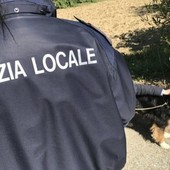 polizia locale nichelino e cani