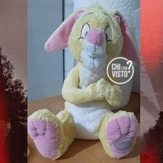 &quot;Qualcuno ha trovato questo peluche di mia figlia autistica?&quot; Appello di una mamma torinese a &quot;Chi l'ha visto?&quot;