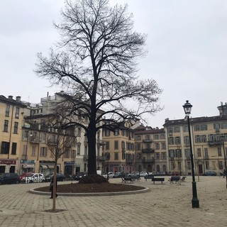 piazza arbarello