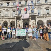 manifestazione di piazza