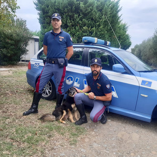 #Senontiportononparto: la Polizia contro l'abbandono degli animali