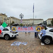 Abusivismo dilagante e la 'concorrenza sleale' degli Ncc: la protesta di decine di taxisti torinesi